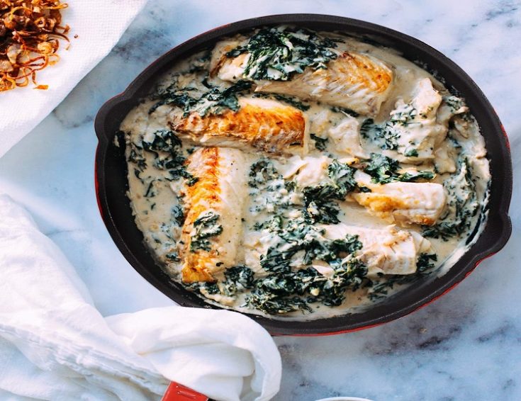 Enameled Cast Iron Skillet 8inch Round Just 11.70 with Coupon on