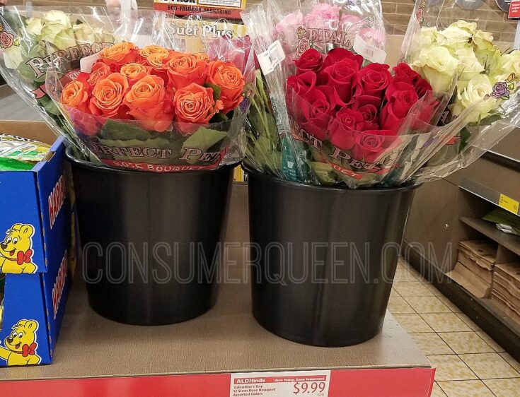 Dozen Roses For Your Valentine ONLY $9.99 at Aldi!