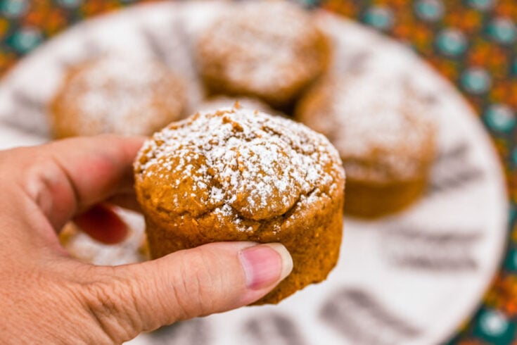 Easy Pumpkin Muffins , Only 2 Ingredients