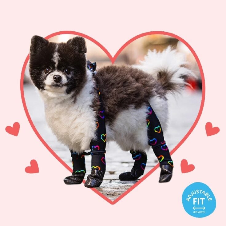 Image for ADJUSTABLE FIT Heart Leggings (wider leg opening with drawstring elastic).