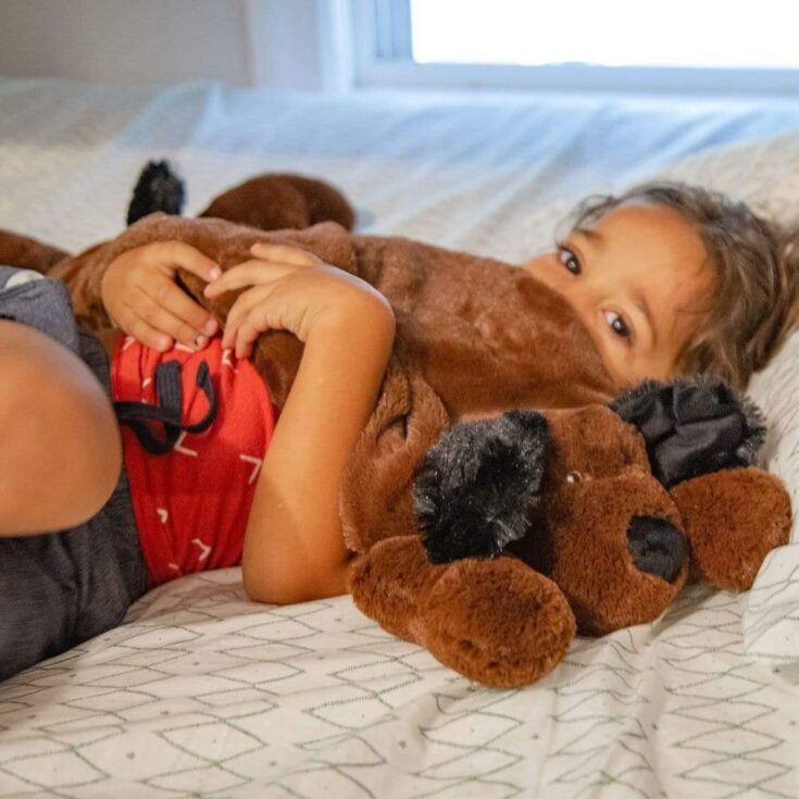 Image for Weighted Stuffed Animal | Huggaroo Puppy