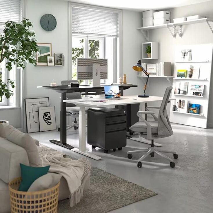 FlexiSpot standing desk
