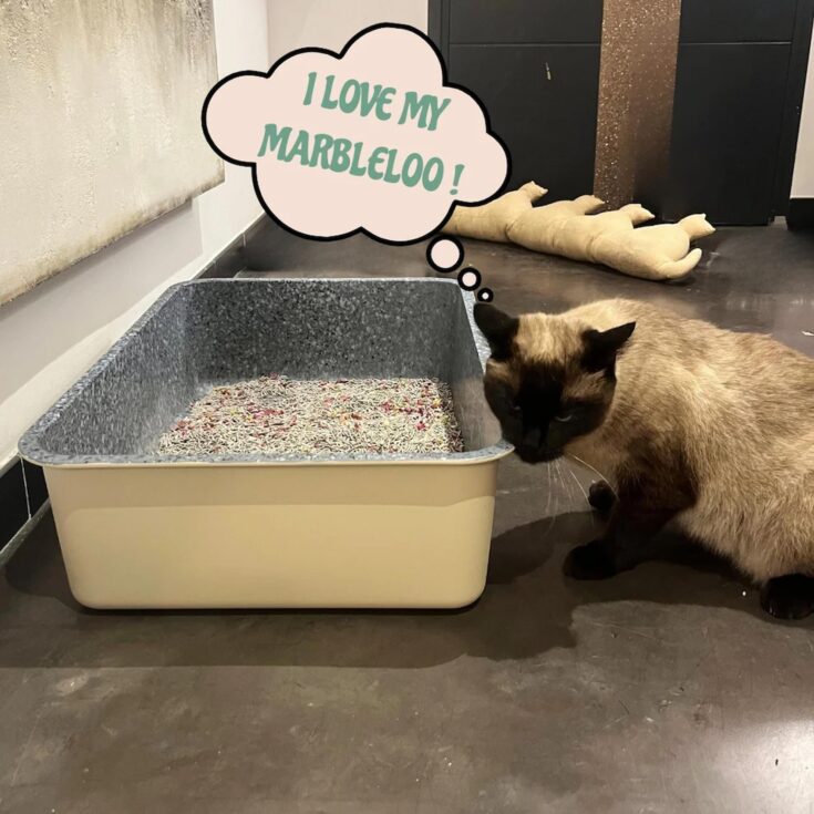 marbleloo