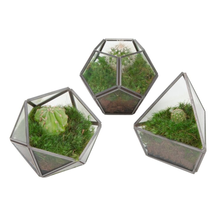 Image for MossPure Minis – Live Moss Air Filter