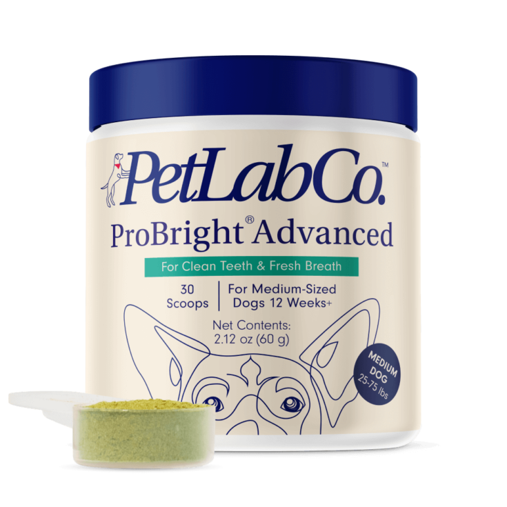 pet lab co dental powder