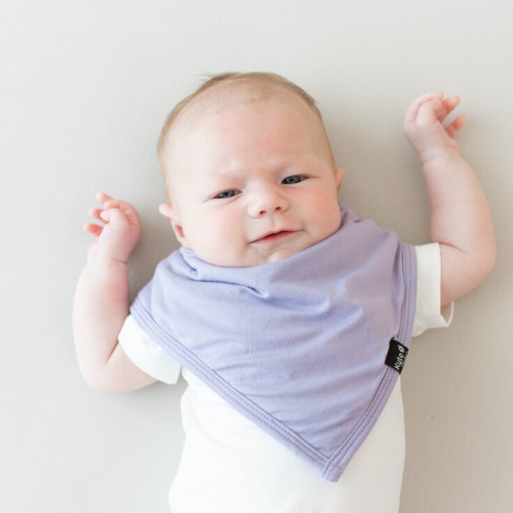Image for Bib in Taro- Kyte Baby