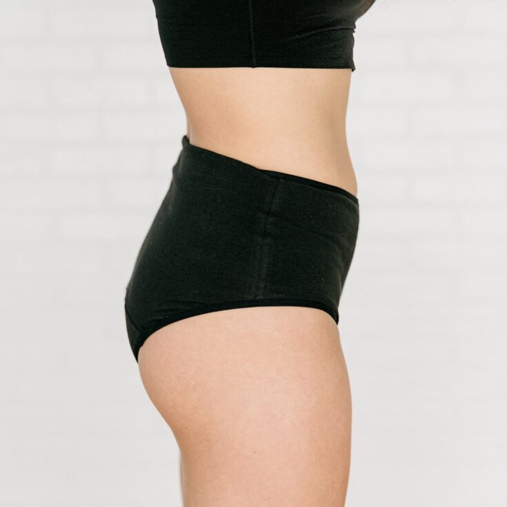 Image for High Waisted Briefs-Fri Period