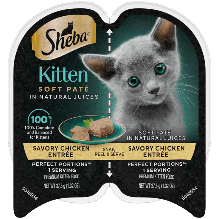 Sheba Kitten Pate'