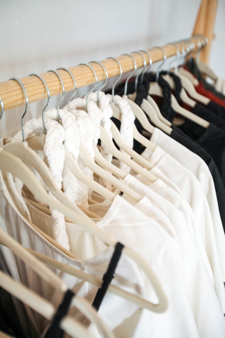 velvet hangers for closet organization