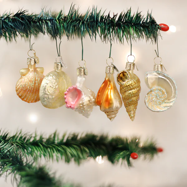 Old Christimas Sea Shell Set Hot Picks