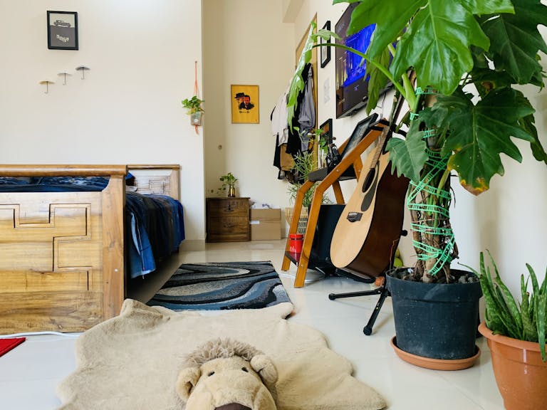 Stylish bedroom featuring guitar, plants, and rustic furniture.