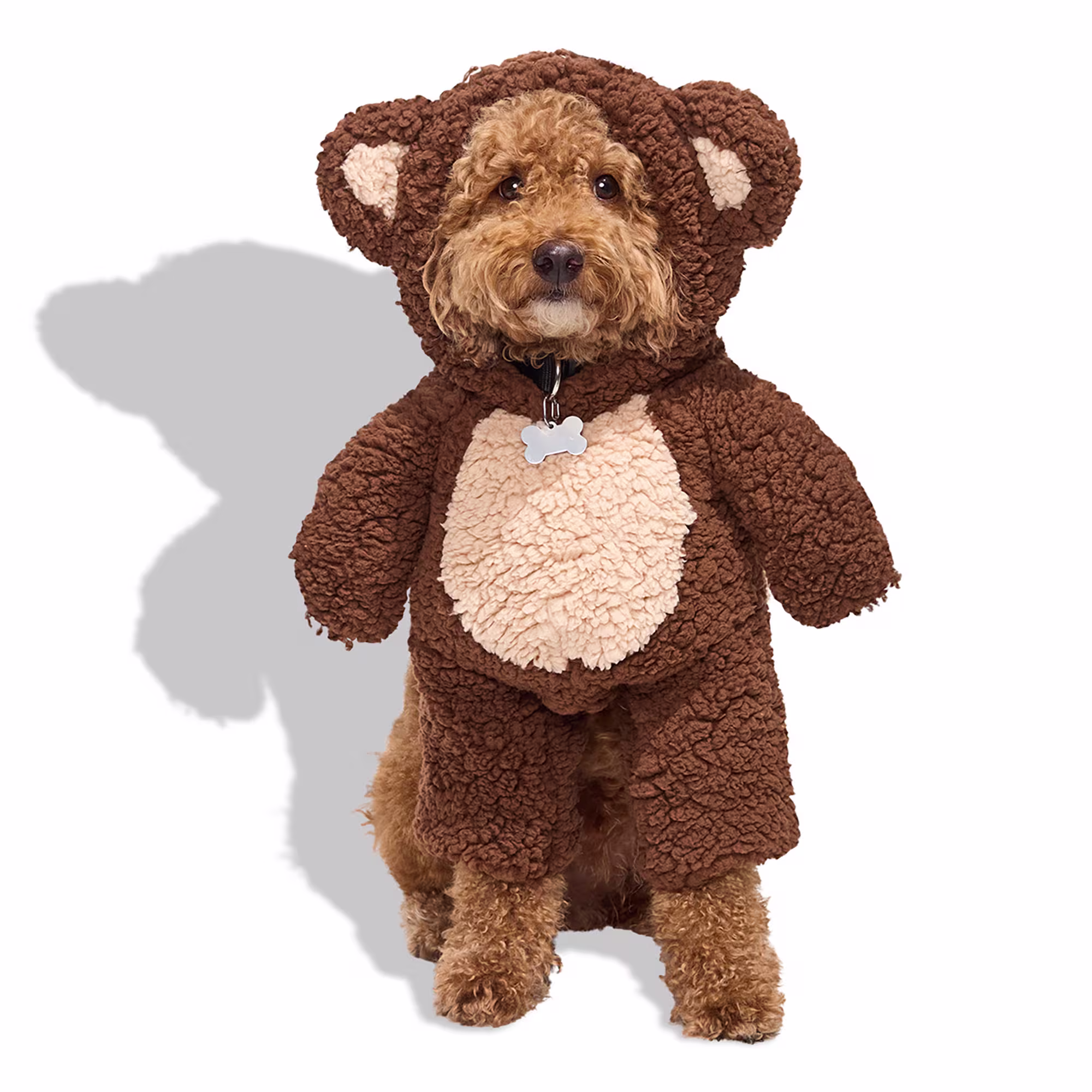 Bootique Teddy Bear Illusion Pet Halloween Costume Petco for fall gifts