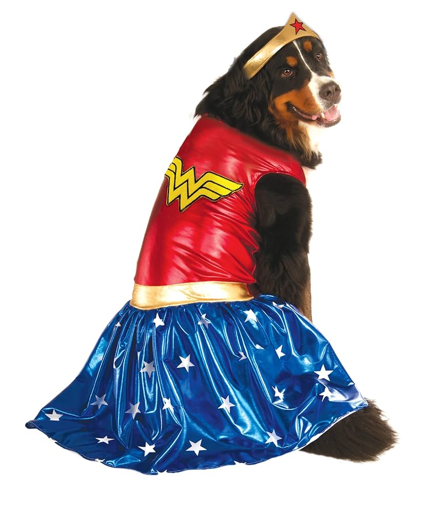 Wonder Women  Costume for fall gifts