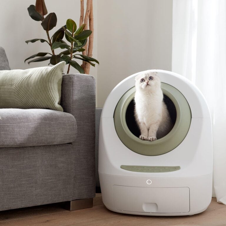 Leo’s Loo Too automatic litter box