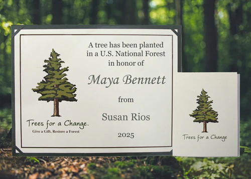 Celebration Tree Gift Holiday Gifts