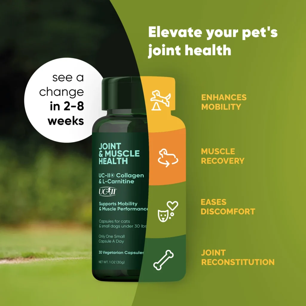 Rooted Owl Joint & Muscle Health (Cats & Small Dogs)
