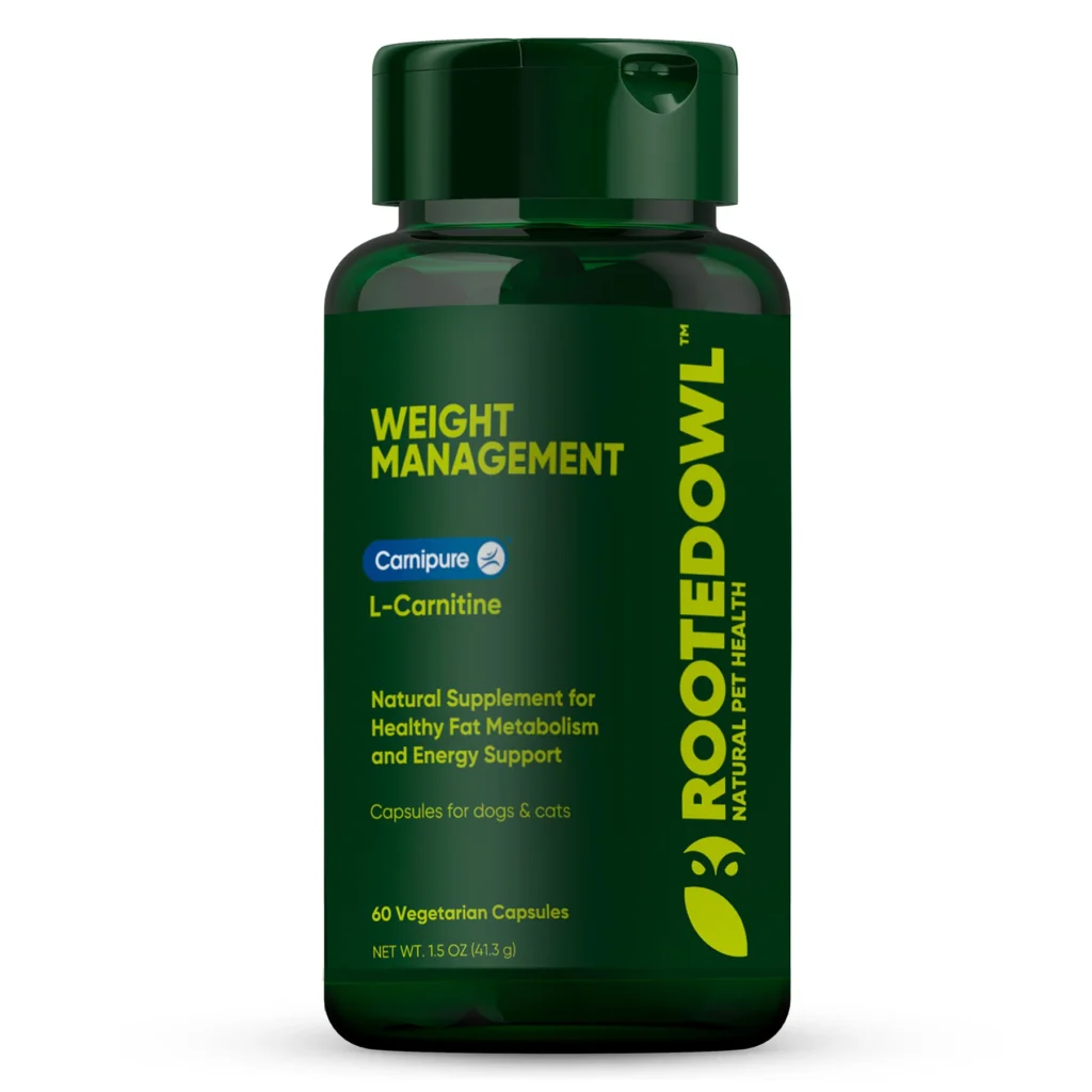 Rooted Owl Weight Management