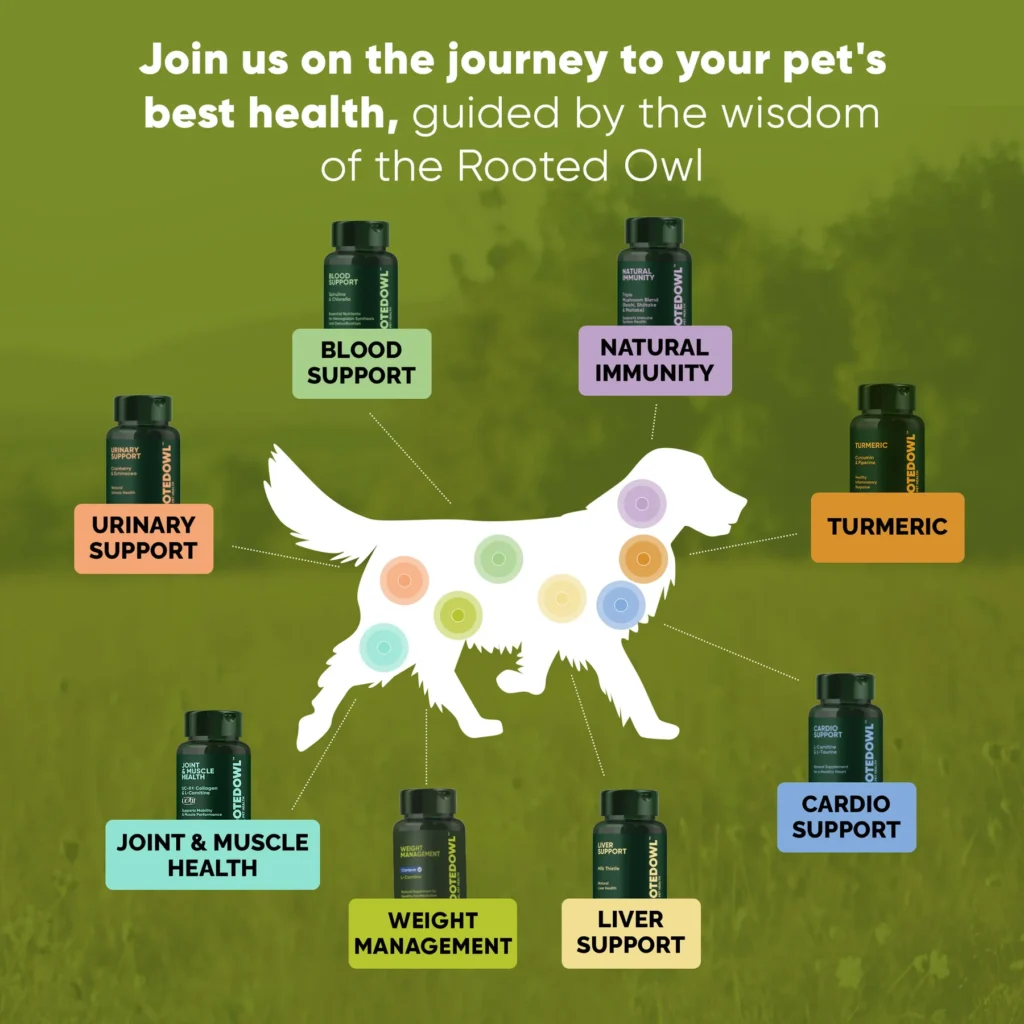 Rooted Owl Weight Management