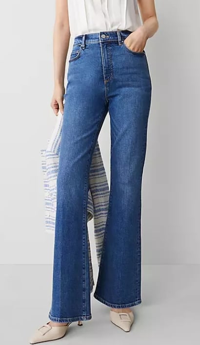 ann taylor