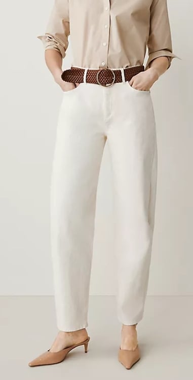 ann taylor