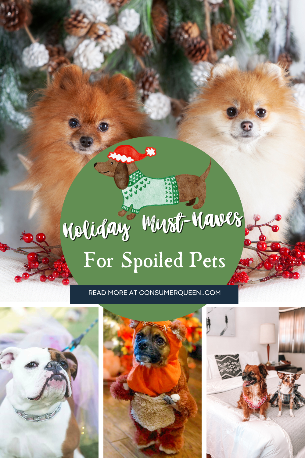 holiday must haves for spoiled pets featured
