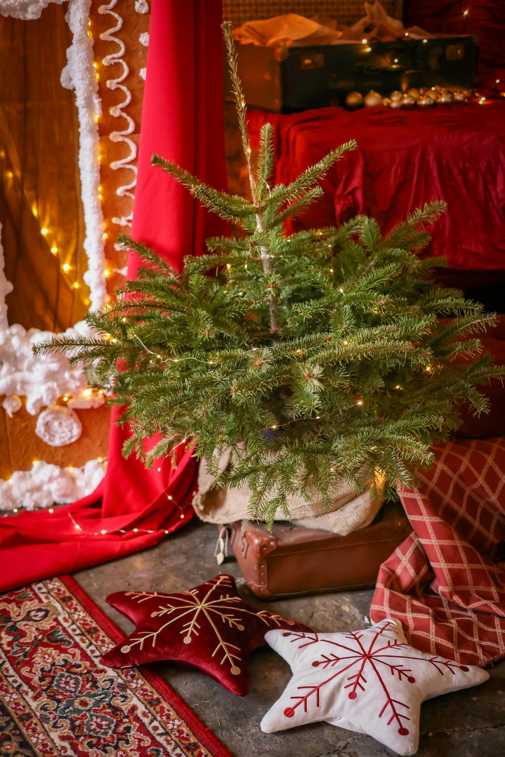 Last Minute Holiday Decor at JCPenney Is Up to 70% Off Plus Extra 30% Off With Code MERRY30