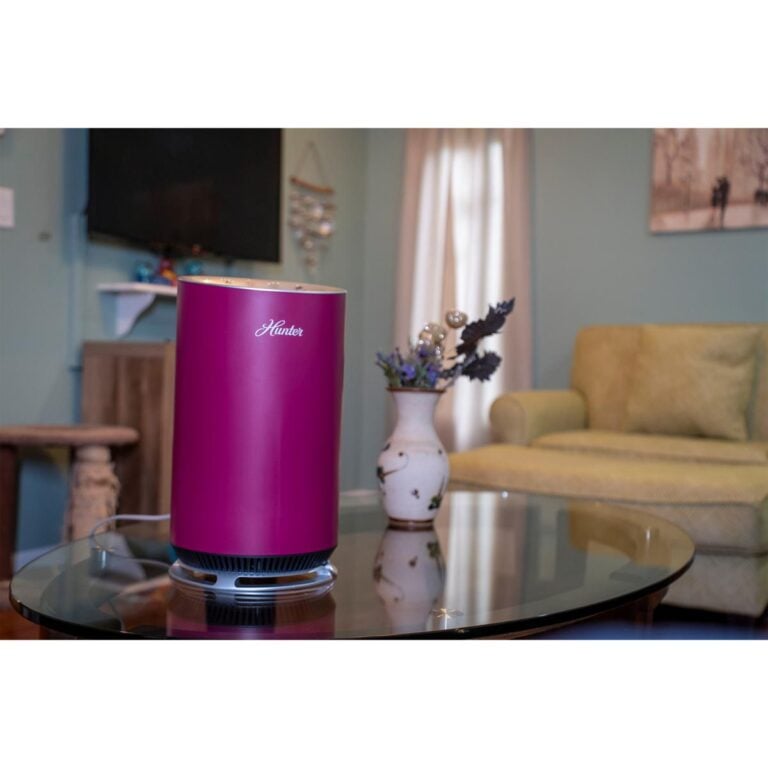 HSN air purifier and humidifier deals