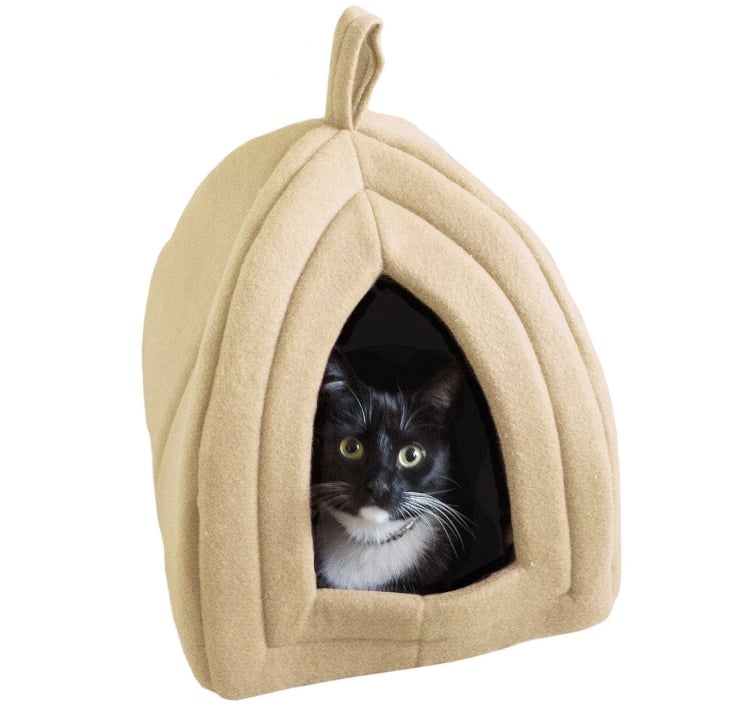 cozy pet accessories with code GET15