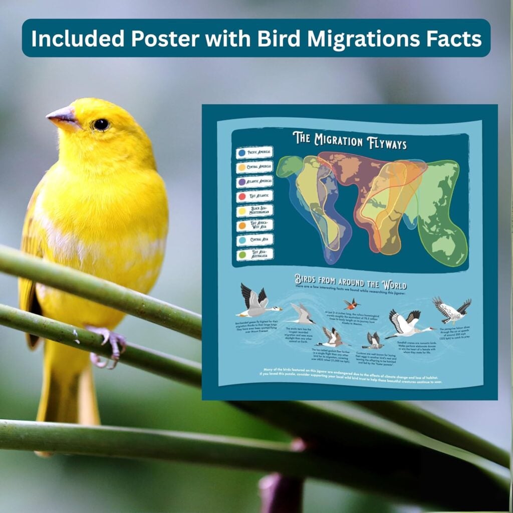 Ridley's Bird Lover’s 1000-piece Round Jigsaw Puzzle and Poster