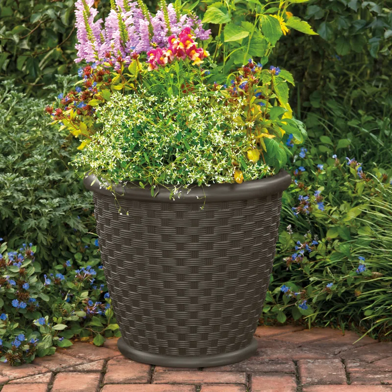 Wayfair gardening supplies sale