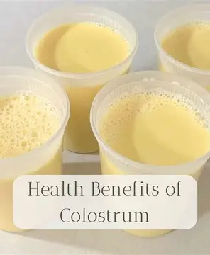 colostrum