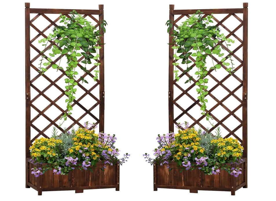 Amazon trellis planter deals