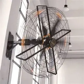 fan