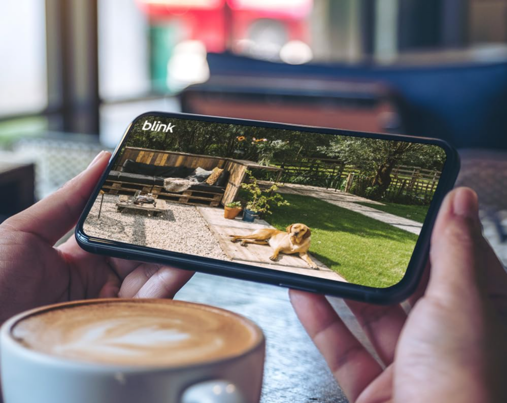 Blink app example shown on phone screen