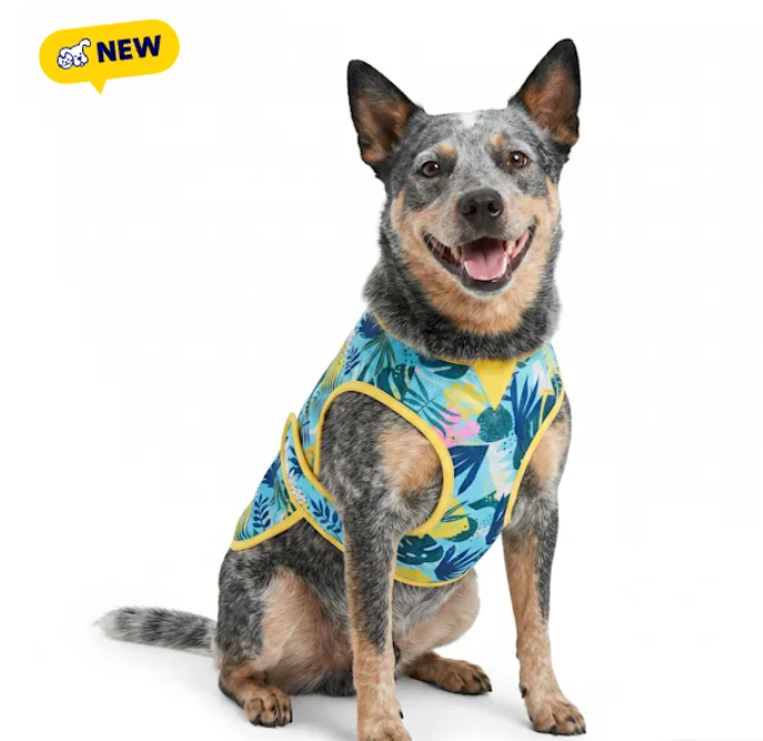 YOULY Cool-to-Touch Reversible Dog Vest
