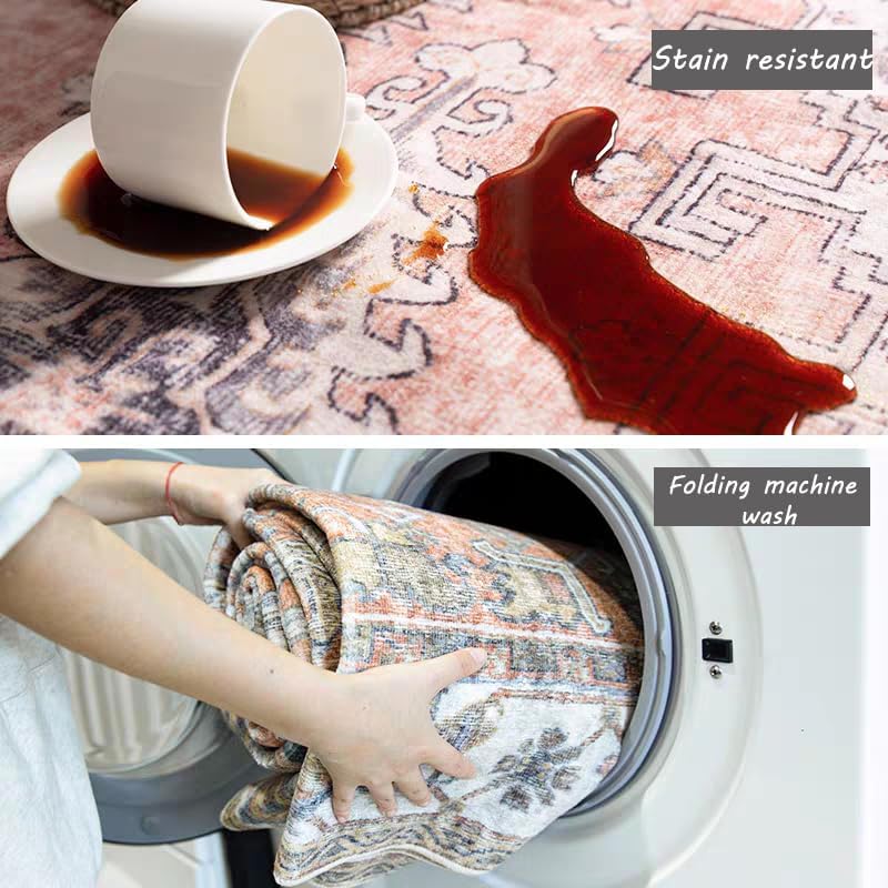 Washable Area Rug Deal stain resistant