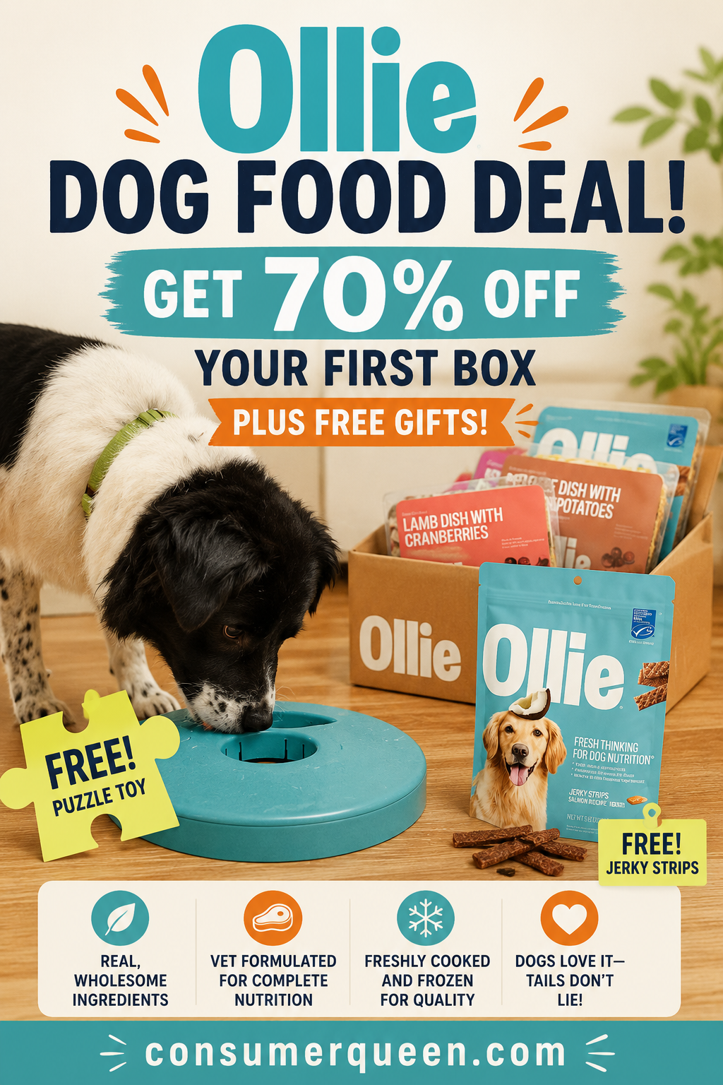 Ollie Dog Food Deal