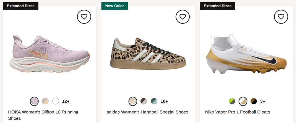 Dick's Epic Shoe Sale items