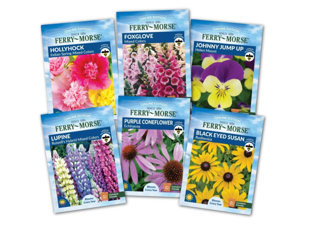 Ferry-Morse Perennials to Plant in Fall Seed Variety Pack