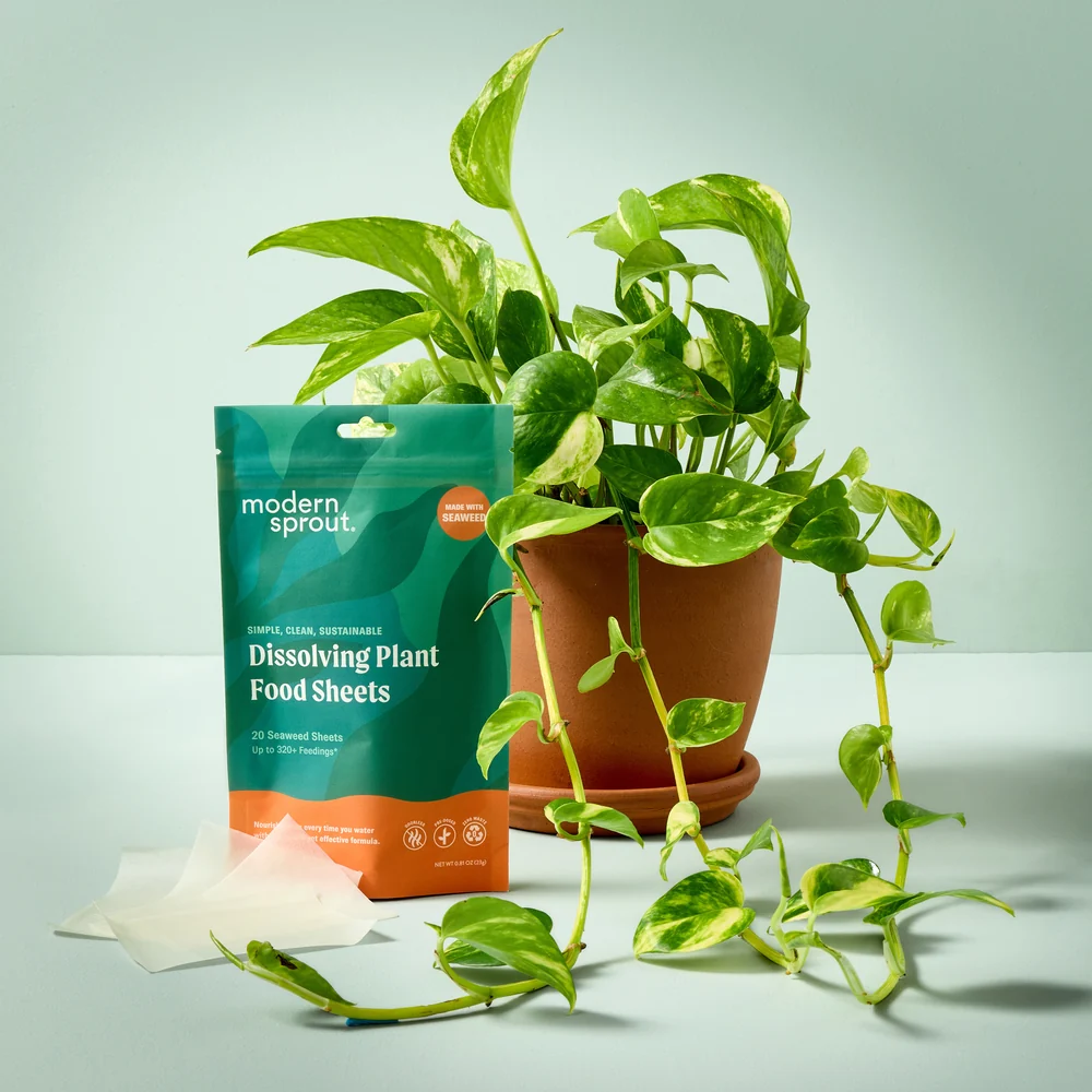 Modern Sprouts Dissolving Plant Food Sheets
