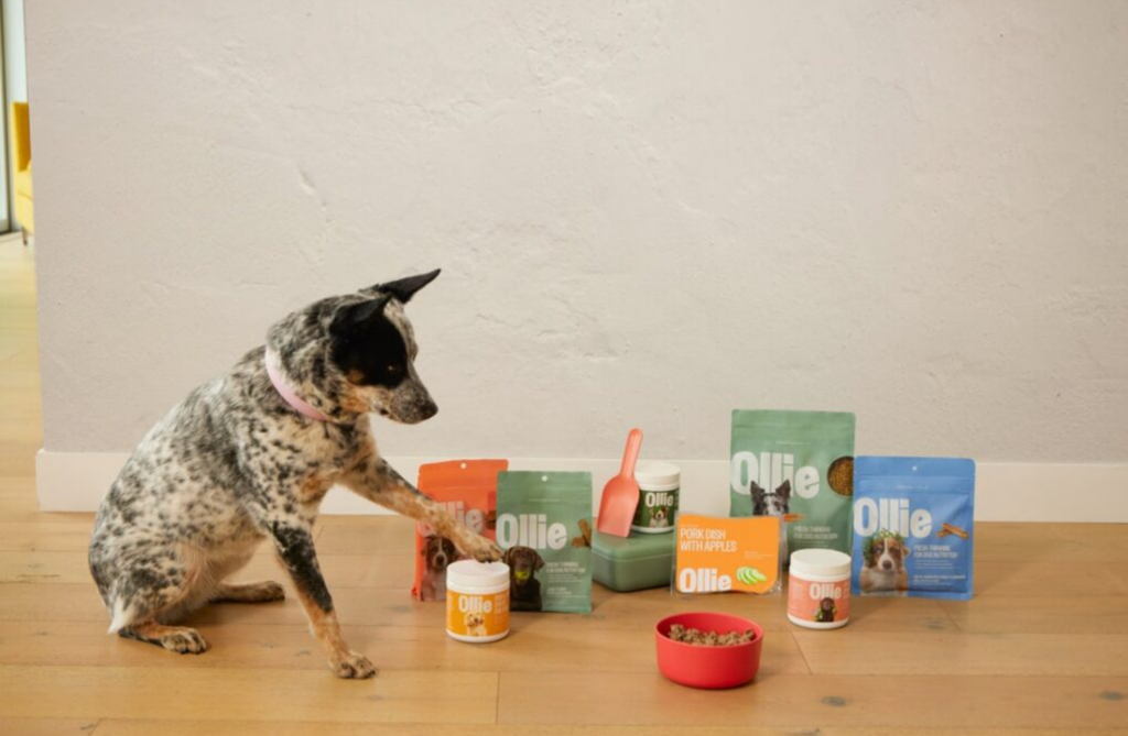 Ollie Dog Food Promo promo