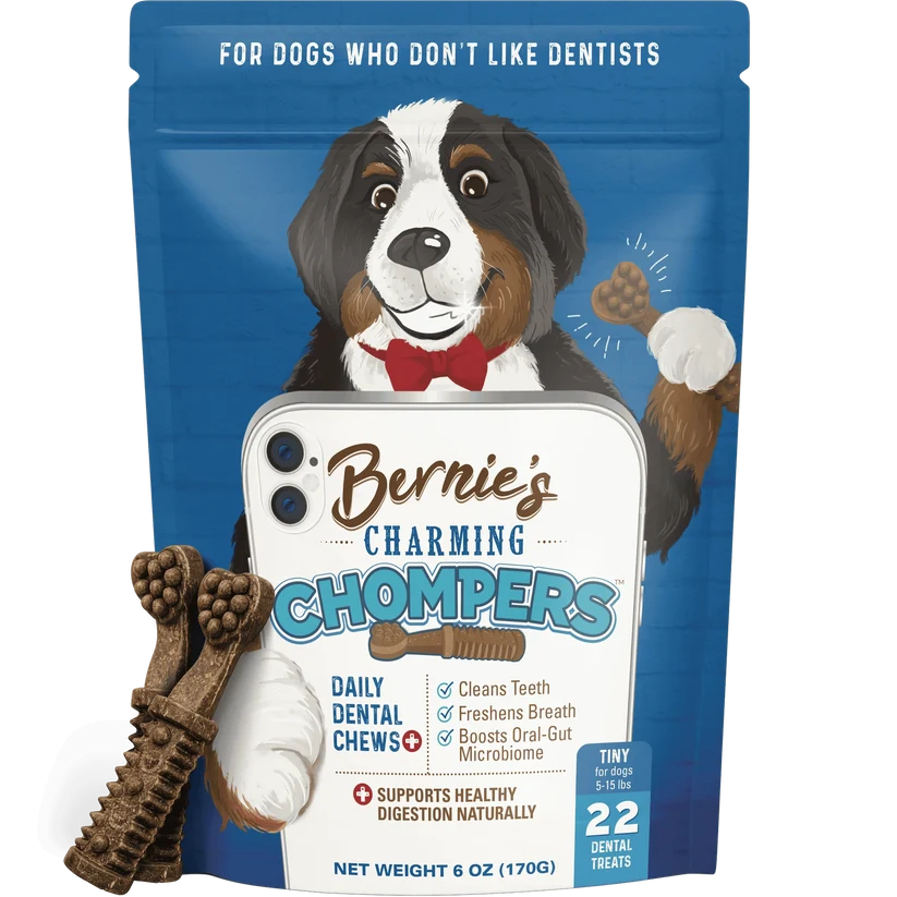 Bernie's Charming Chompers