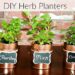 DIY Herb Planters