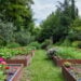 vegetable garden Mistakes