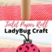 Toilet Paper Roll Ladybug Craft