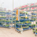 Lowes Flower Clearance