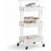 Rolling Shelf Cart
