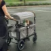 Walmart stroller wagon deals