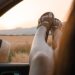nature, adventure, travel, drive, outdoors, car wallpapers, exploration, field, rural, cornfield, feet, summer, car