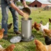 Walmart chicken coop deals